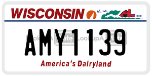 AMY1139 license plate in Wisconsin