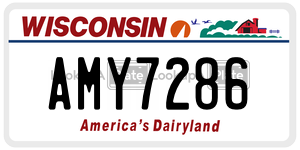 AMY7286  license plate in WI