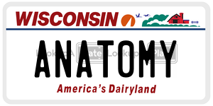 ANAT0MY  license plate in WI