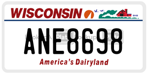 ANE8698  license plate in WI