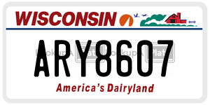 ARY8607  license plate in WI