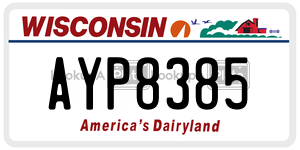 AYP8385  license plate in WI