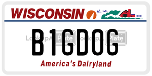 B1GD0G license plate in Wisconsin