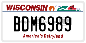 BDM6989  license plate in WI