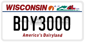 BDY3000  license plate in WI
