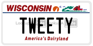 TWEETY  license plate in WI