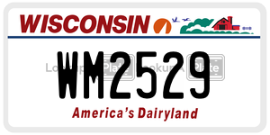 WM2529  license plate in WI