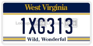 1XG313  license plate in WV