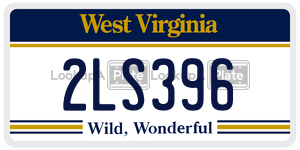 2LS396  license plate in WV