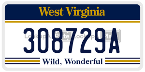 308729A  license plate in WV