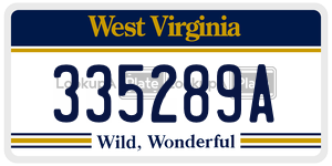 335289A  license plate in WV