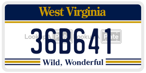 36B641  license plate in WV