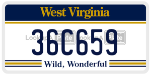 36C659  license plate in WV