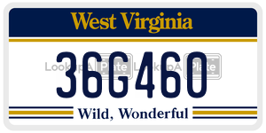 36G460  license plate in WV