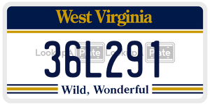 36L291  license plate in WV