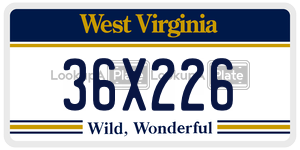 36X226  license plate in WV