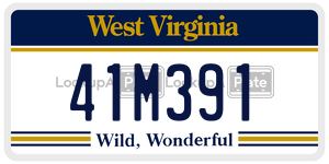 41M391  license plate in WV