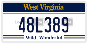 48L389  license plate in WV