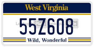 55Z608  license plate in WV