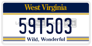 59T503  license plate in WV