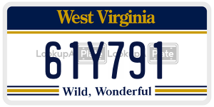 61Y791  license plate in WV