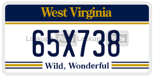 65X738  license plate in WV