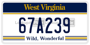 67A239  license plate in WV