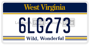 6LG273  license plate in WV