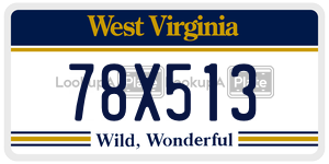 78X513  license plate in WV