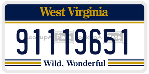 91119651  license plate in WV
