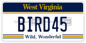 BIRD45 license plate in West Virginia