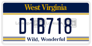 D1B718  license plate in WV
