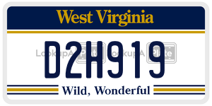 D2H919  license plate in WV