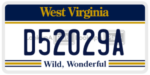D52029A  license plate in WV
