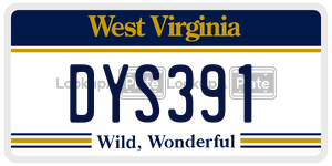 DYS391  license plate in WV