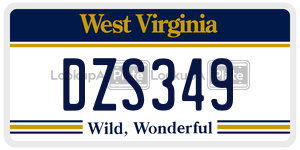 DZS349  license plate in WV