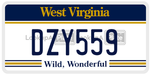 DZY559  license plate in WV