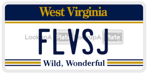 FLVSJ  license plate in WV