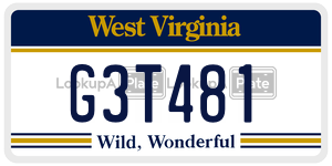 G3T481  license plate in WV