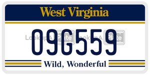 O9G559  license plate in WV
