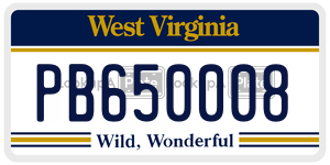 PB650008  license plate in WV