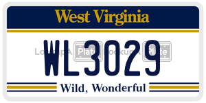 WL3029  license plate in WV