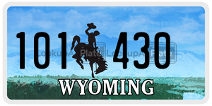 101430  license plate in WY