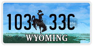 10333C  license plate in WY