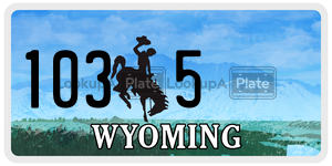 1035  license plate in WY