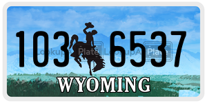 1036537  license plate in WY