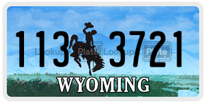 1133721 license plate in Wyoming