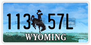 11357L  license plate in WY