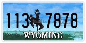 1137878 license plate in Wyoming