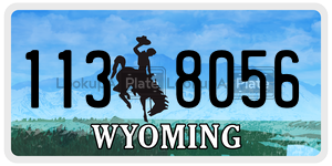 1138056 license plate in Wyoming